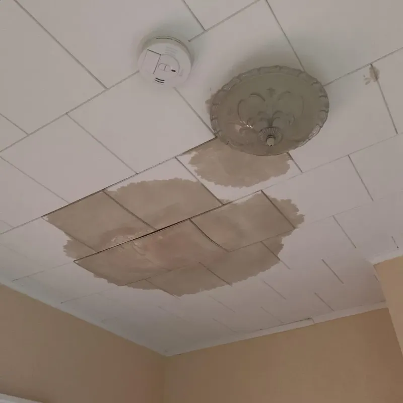 Ceiling Water Damage Repair in Jasper County, TX