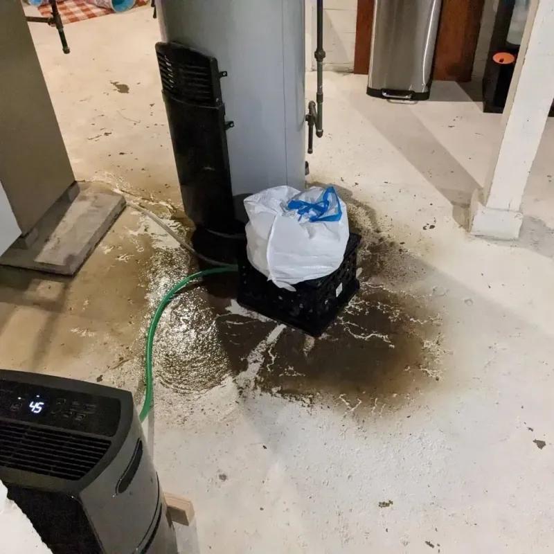 Sewage Backup Cleanup Service in Jasper County, TX